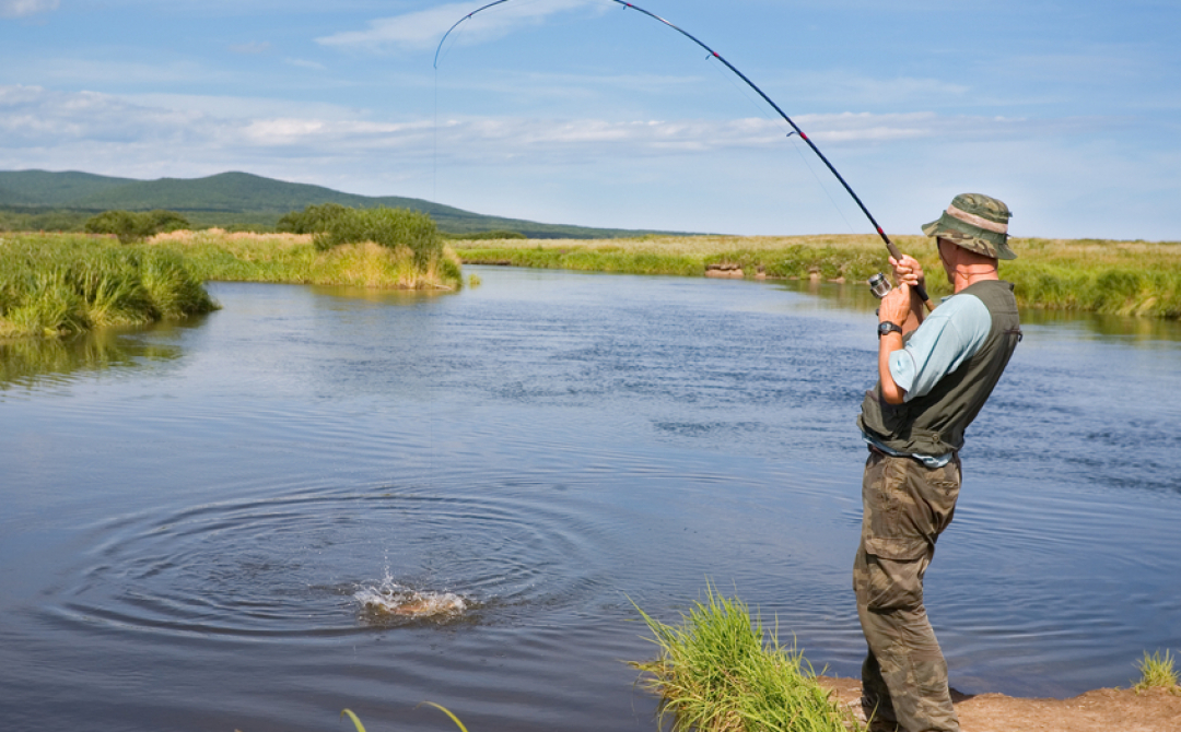 Изображение Дмитрий новиков